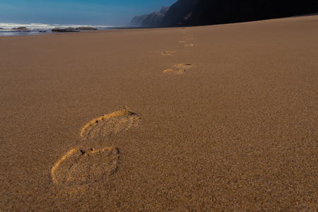 Traces in the sand on the beachの写真素材
