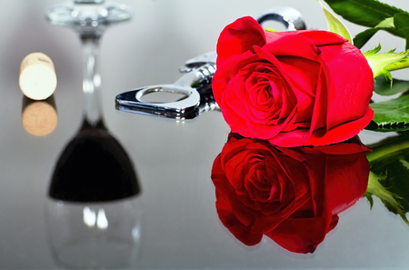 Red rose as a show of love for Valentines day. The Valentines day concept. Love, harmony, peace in the soul, feelings, gestureの写真素材