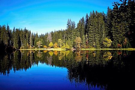 Mirroring on the water level of the Vrbicke tarn in Demanovska valley in Slovakia. Autumn colors of...