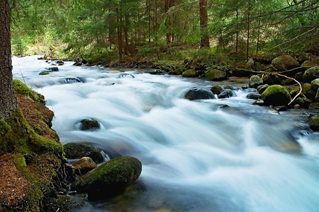 Wild mountain water in the Dubravska valley in Slovakia.
