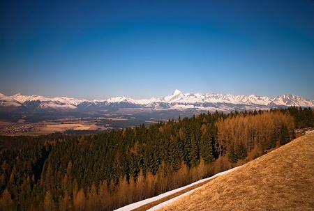 The spring with the background of the High Tatra peak - Krivan.の写真素材