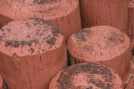 Old logs painted red and grouped close together in the ground.の写真素材