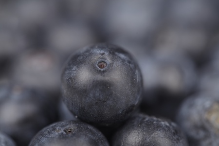 Blueberries - closeupの写真素材