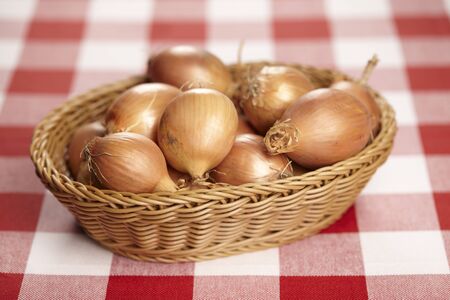 Basket of onions on checked tableclothの写真素材