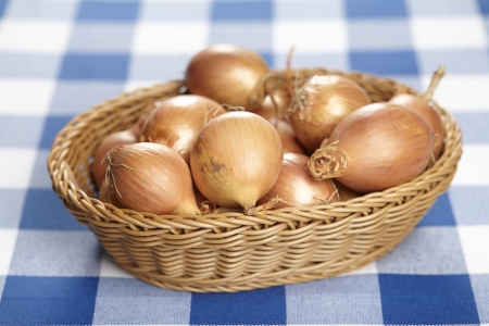Basket of onions on checked tableclothの写真素材