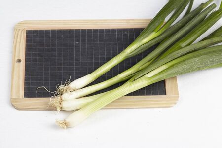 Early ONIONS leeks with slateの写真素材