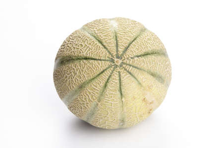 Galia melon exempted on white background  の写真素材