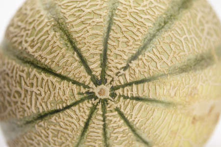 Close up of a galia melon skin showing different meshed structures の写真素材