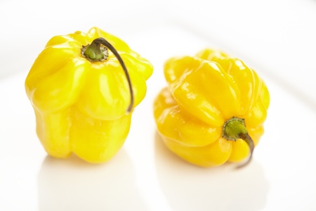 Habanero chili pepper on a white porcelain plate with reflection.の写真素材
