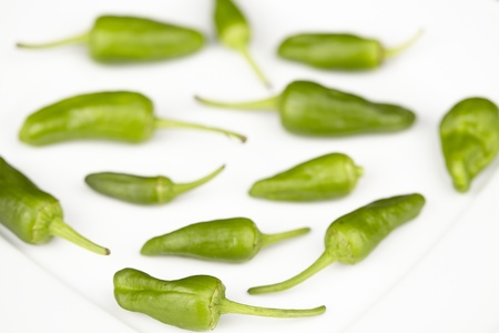 Padron chilis on a white china plate 