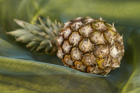 A laying pineapple exempted on  a colorful background (like popart).の写真素材