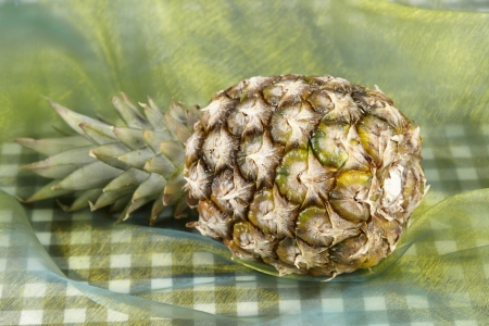 A laying pineapple exempted on  a colorful background (like popart).の写真素材