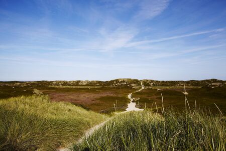 A sand dune at Puan Klent  Sylt, Germany  taken at daylight  The picture shows the landscape of the Nordfrisian Island Sylt の写真素材