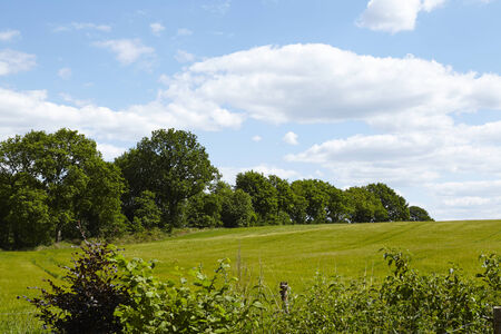Cultural landscape in Schleswig-Holstein (north Germany) with trees and bushes taken on a sunny day with a blue sky and white fleecy clouds.の写真素材