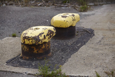 An old double pollard embedded into cement and asphalt taken in a rotten doxkland.の写真素材
