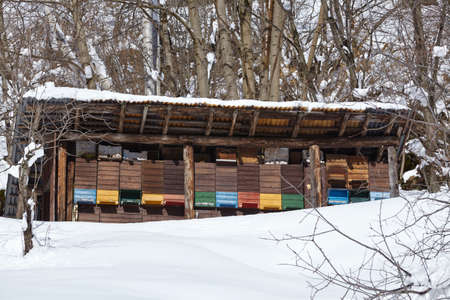 Some beehives near the Gotthard massif in the Swiss canton Ticino (Tessin) taken in winter (February) with a bright blue sky and much of snow.の写真素材