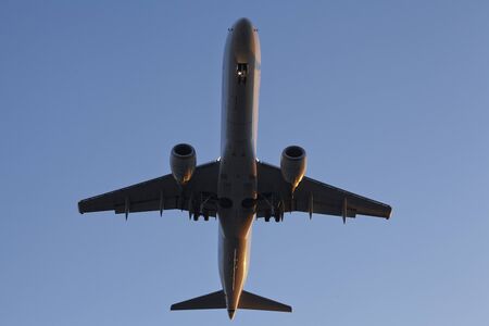 A passenger airplane is flying at the sky in the evening near Sunset Blvdの写真素材