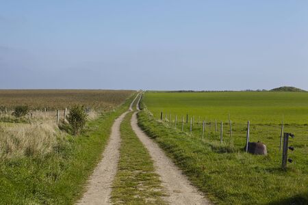 A small roadway leads into a typical north frisian landscape on the isle Amrum (Germany,...