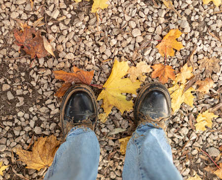 dirty boots over autumn yellow leaves top view