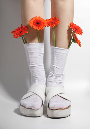 Flowers gerber in white female Socksの写真素材