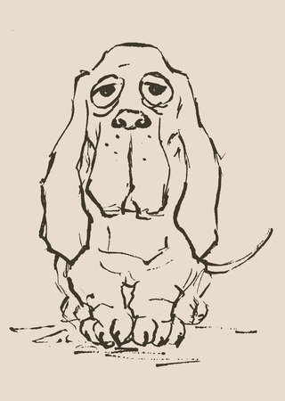 Basset houndのイラスト素材