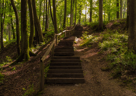 Hiking trail with beautiful stairs