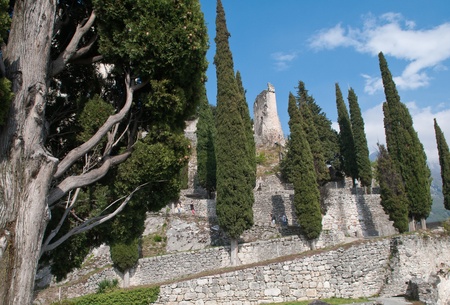 Wall Front 51のeditorial素材