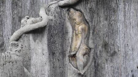 Figure in the jungleの写真素材