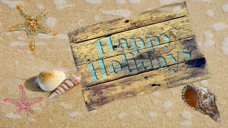 Beach picture, shell imageの写真素材