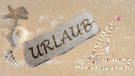 Beach picture, shell imageの写真素材