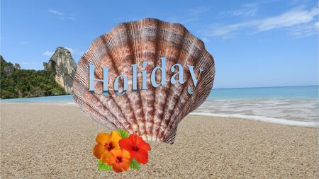 Mussel picture on the beachの写真素材