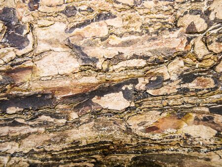 old wood
