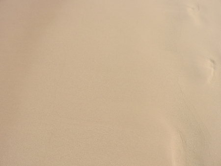 Seashell stones coral on the beachの写真素材