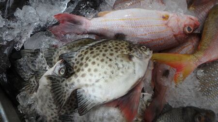 Food on a market in Khao Lak Thailand