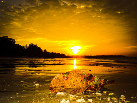 sunset at the beachの写真素材