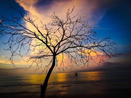 Sunset on the beach at Khao Lakの写真素材