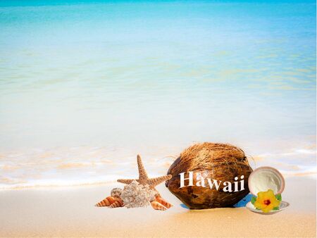 Coconuts in the sandの写真素材