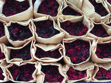 Roses Rose Rosaの写真素材