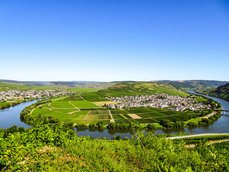 Leiwen village on the Moselle