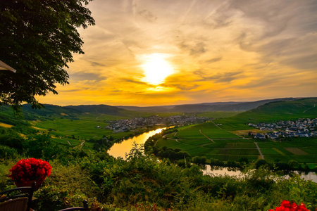 Leiwen village on the Moselleの写真素材