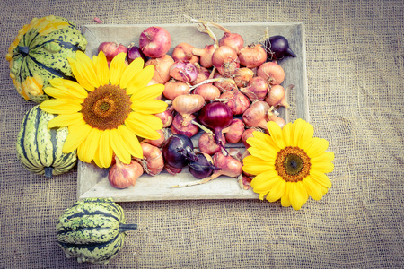 Onions different varietiesの写真素材