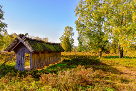 Golden autumn in the L?neburg Heath near Undelohの写真素材