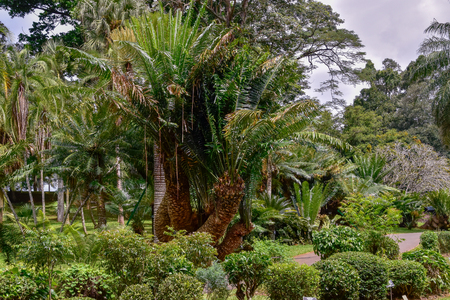 Kandy city in Sri Lankaの写真素材