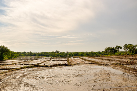 Landscape pictures of Sri Lankaの写真素材