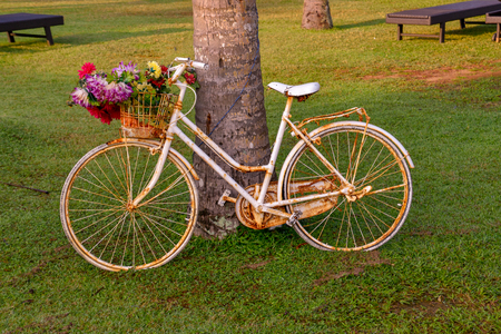 Beach pictures of Bentota in Sri Lankaの写真素材