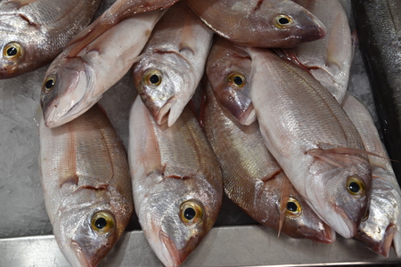 Traditional fishmonger in Portugal in Loul