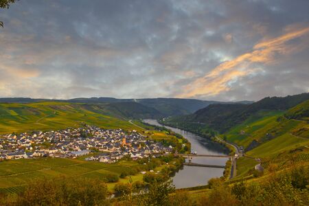 Wine landscape near Cochem and Leiwen on the Moselの写真素材