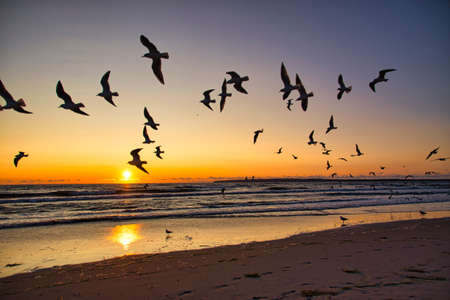 Sunrise, sunset at the Baltic Sea on the island of Ruegenの写真素材