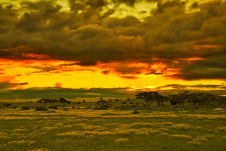 Sunset and sunrise in the National Park Tsavo East Tsavo West and Amboseliの写真素材