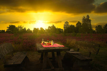 The heather blossom in the LÃ¼neburg Heath near Undeloh